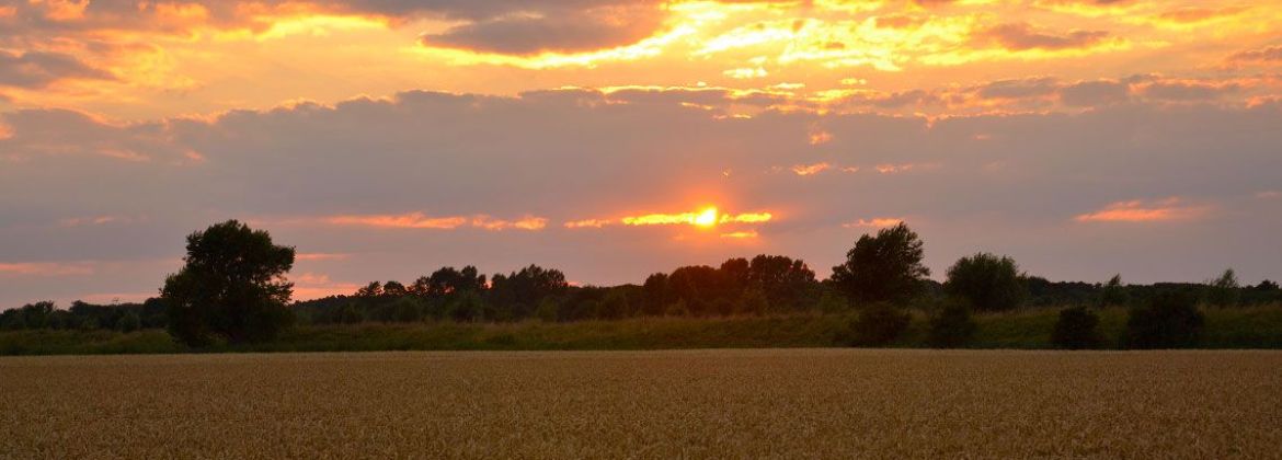 Mini-Camping Rustenpolder — photo 7